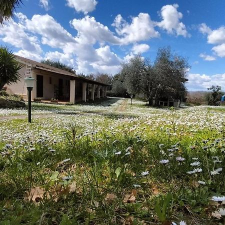 Agriturismo Bio Pian Dei Casali Сатурния Экстерьер фото