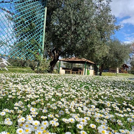 Agriturismo Bio Pian Dei Casali Сатурния Экстерьер фото