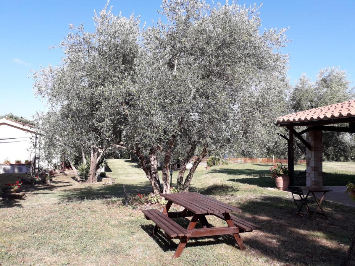 Agriturismo Bio Pian Dei Casali Сатурния Экстерьер фото