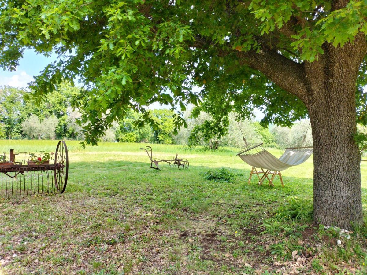 Agriturismo Bio Pian Dei Casali Сатурния Экстерьер фото