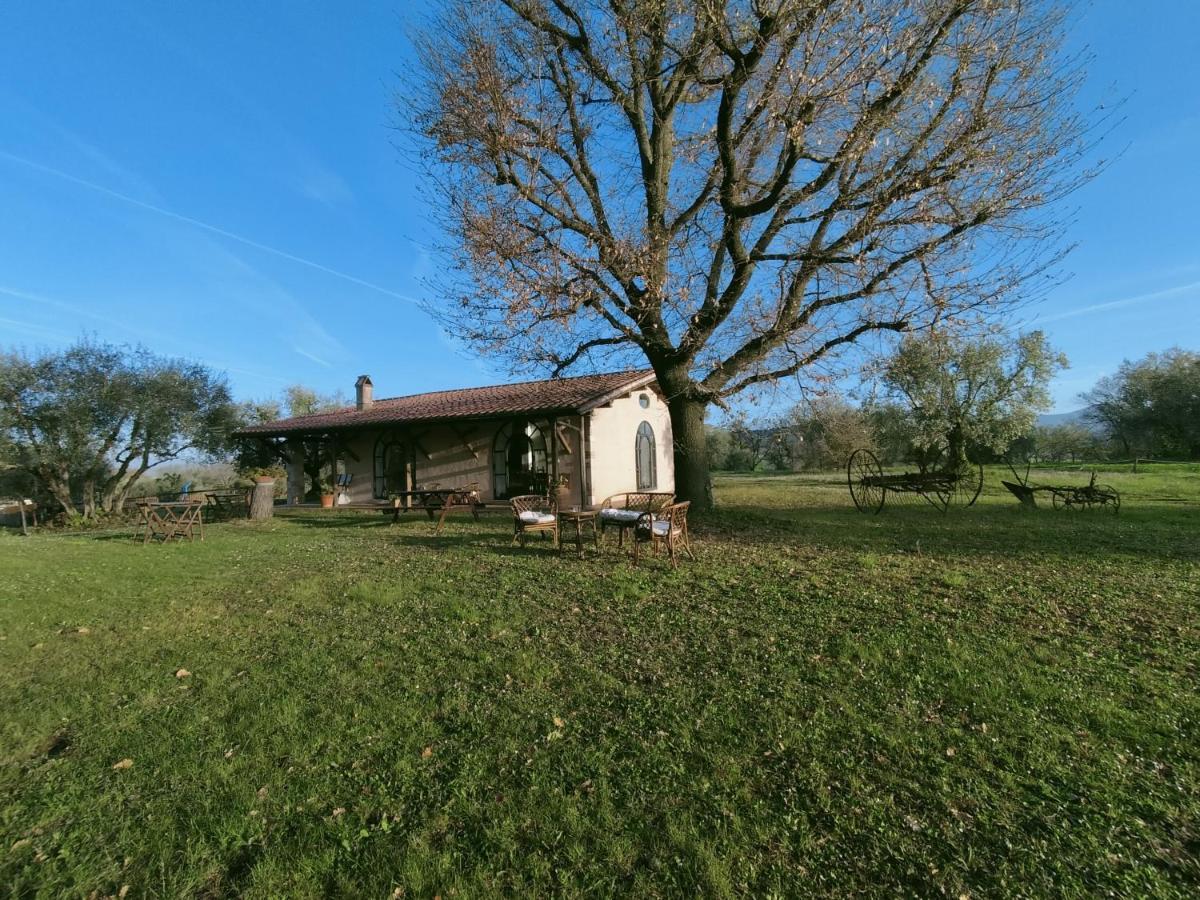 Agriturismo Bio Pian Dei Casali Сатурния Экстерьер фото