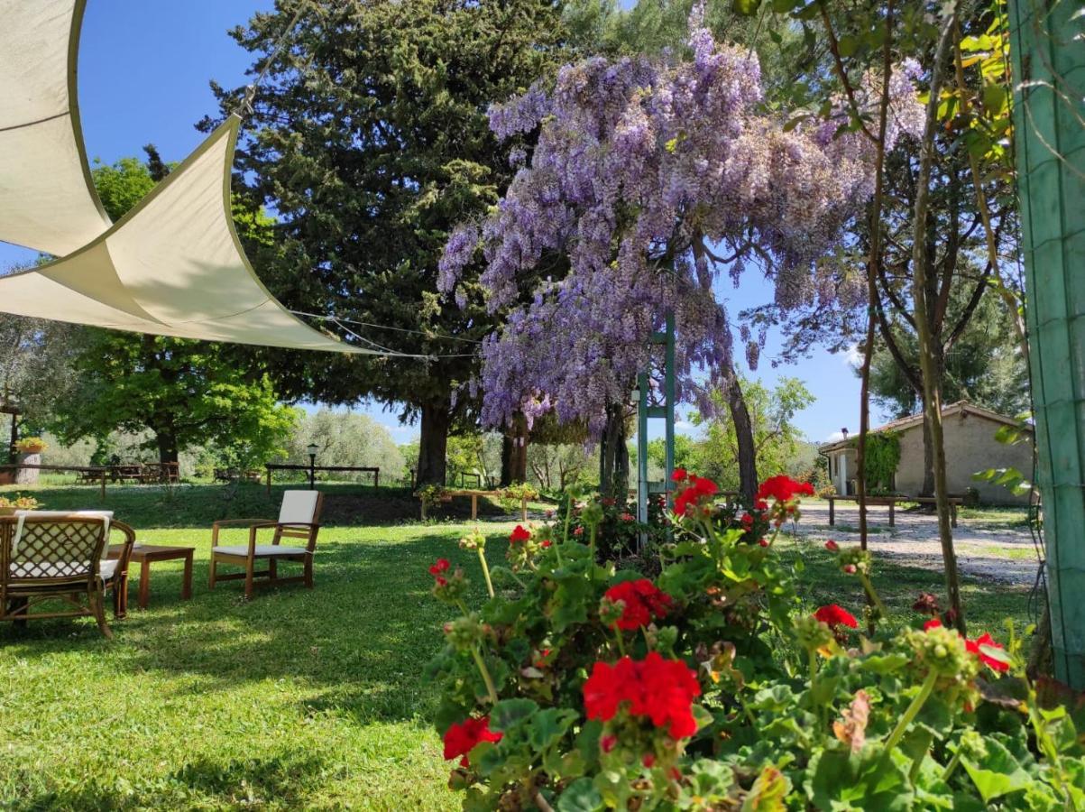 Agriturismo Bio Pian Dei Casali Сатурния Экстерьер фото