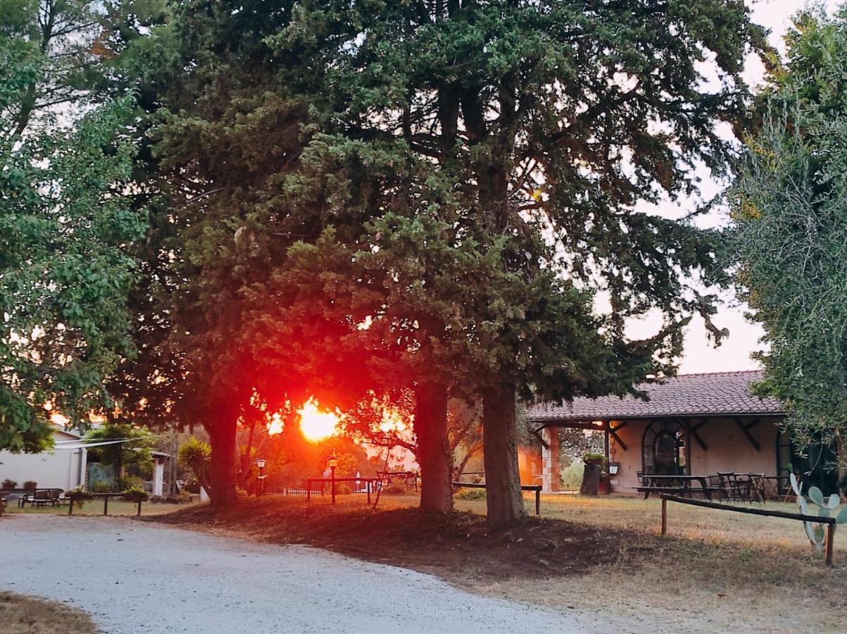 Agriturismo Bio Pian Dei Casali Сатурния Экстерьер фото