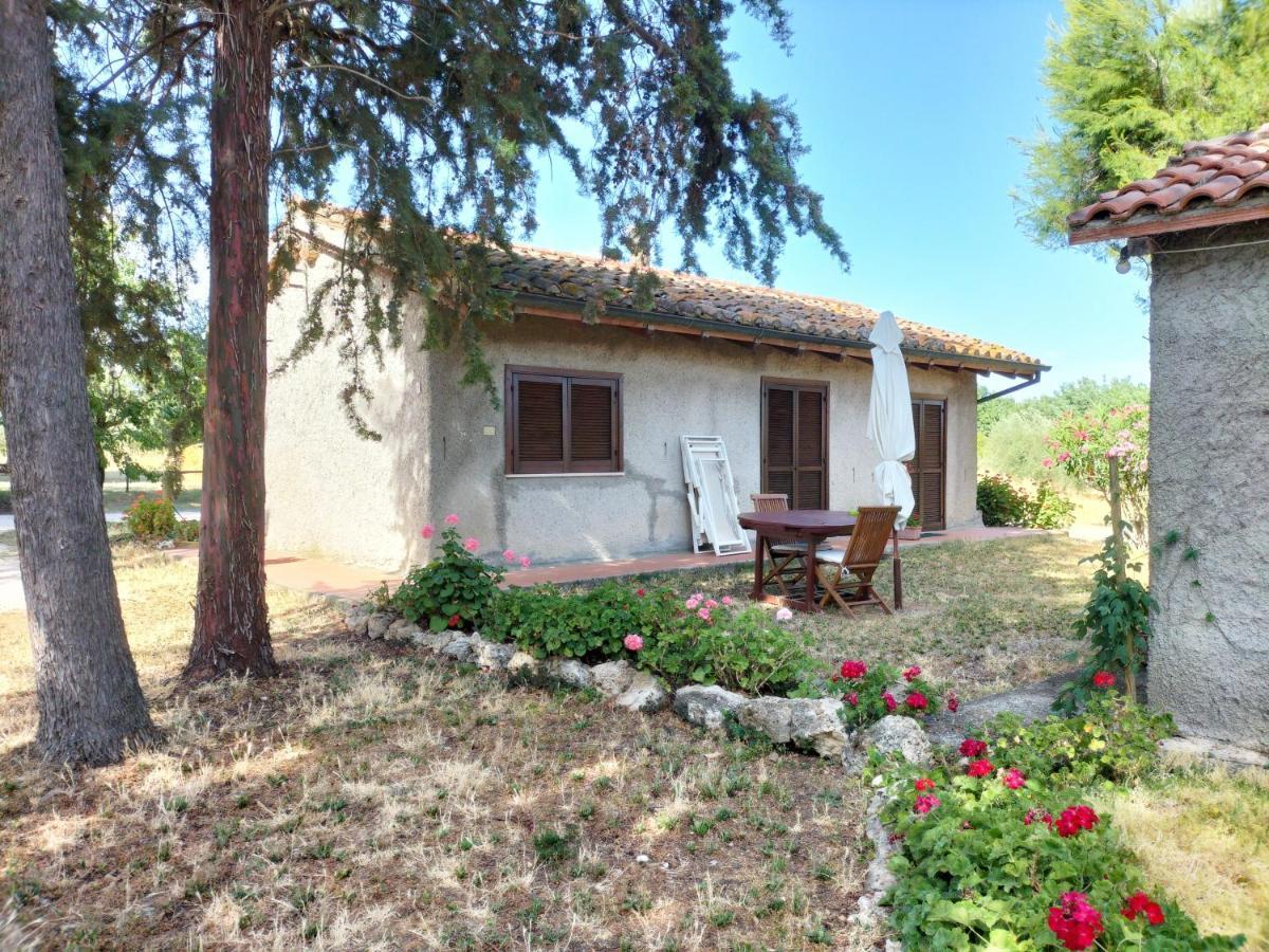 Agriturismo Bio Pian Dei Casali Сатурния Экстерьер фото