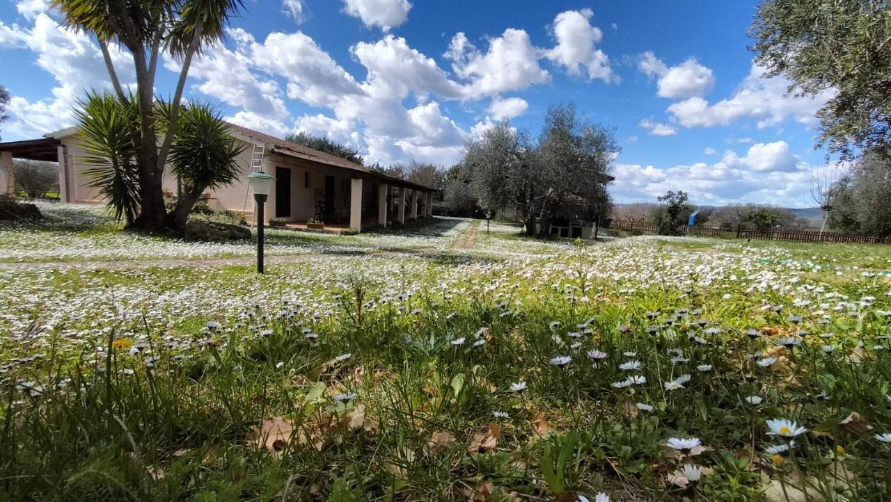 Agriturismo Bio Pian Dei Casali Сатурния Экстерьер фото