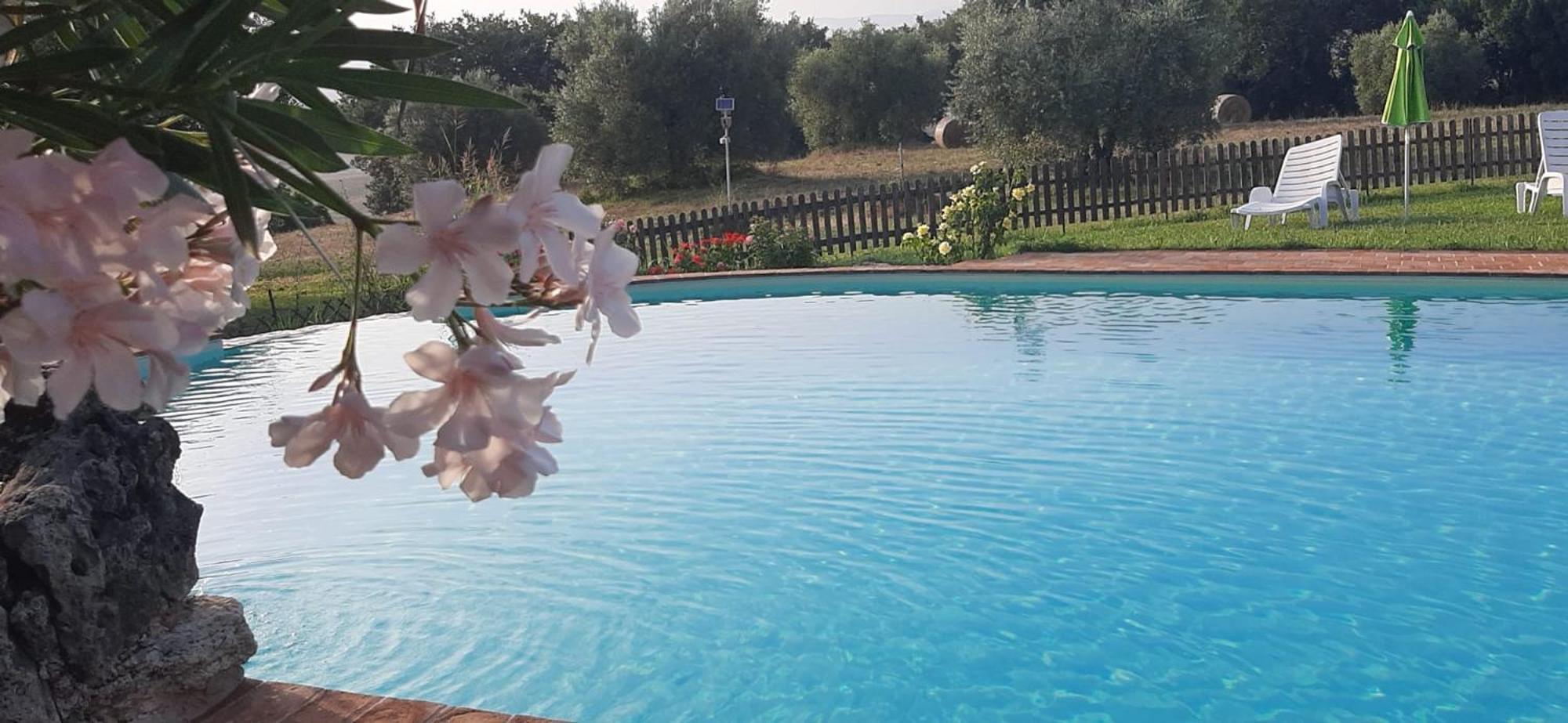 Agriturismo Bio Pian Dei Casali Сатурния Экстерьер фото