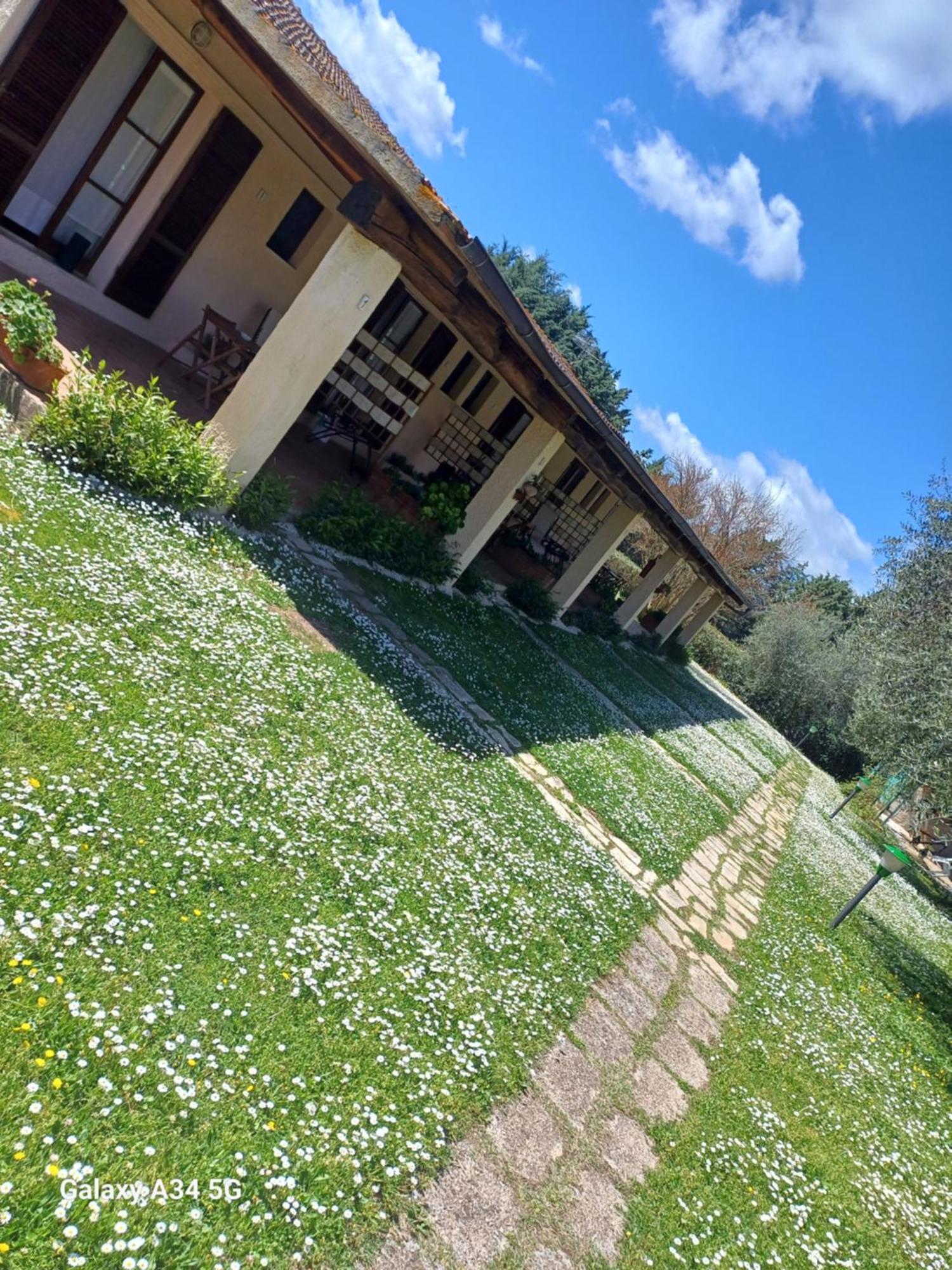 Agriturismo Bio Pian Dei Casali Сатурния Экстерьер фото