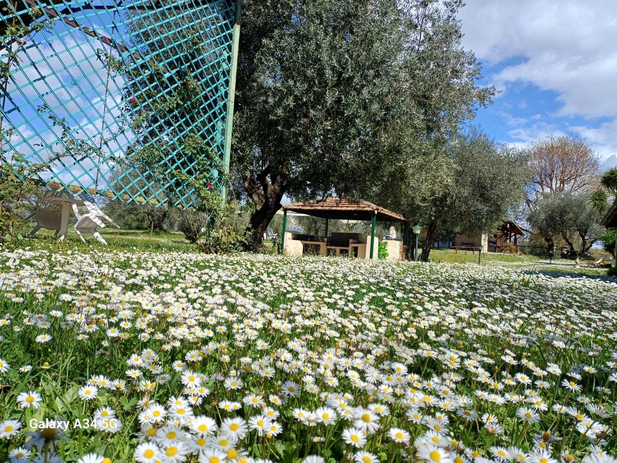 Agriturismo Bio Pian Dei Casali Сатурния Экстерьер фото