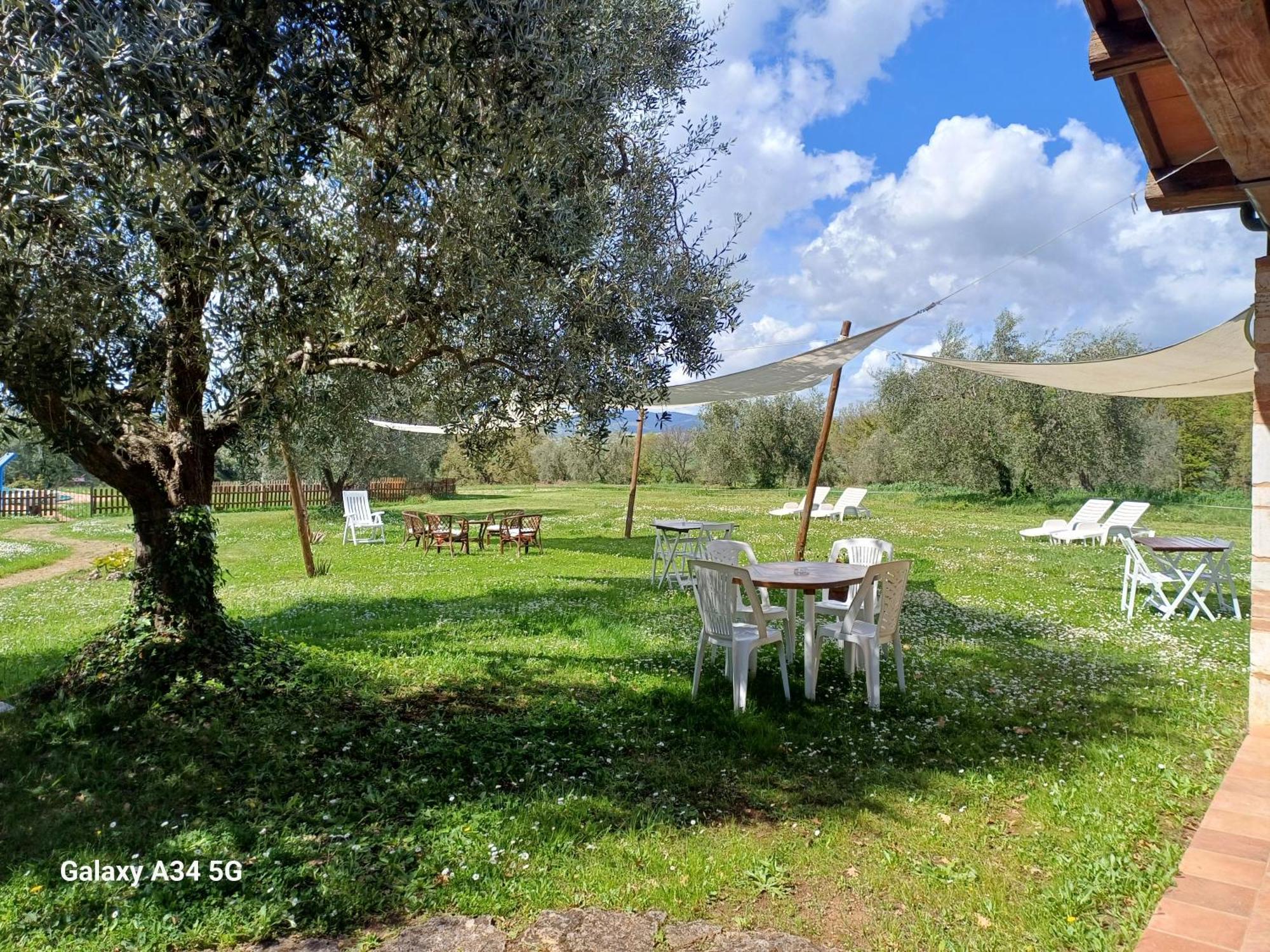 Agriturismo Bio Pian Dei Casali Сатурния Экстерьер фото