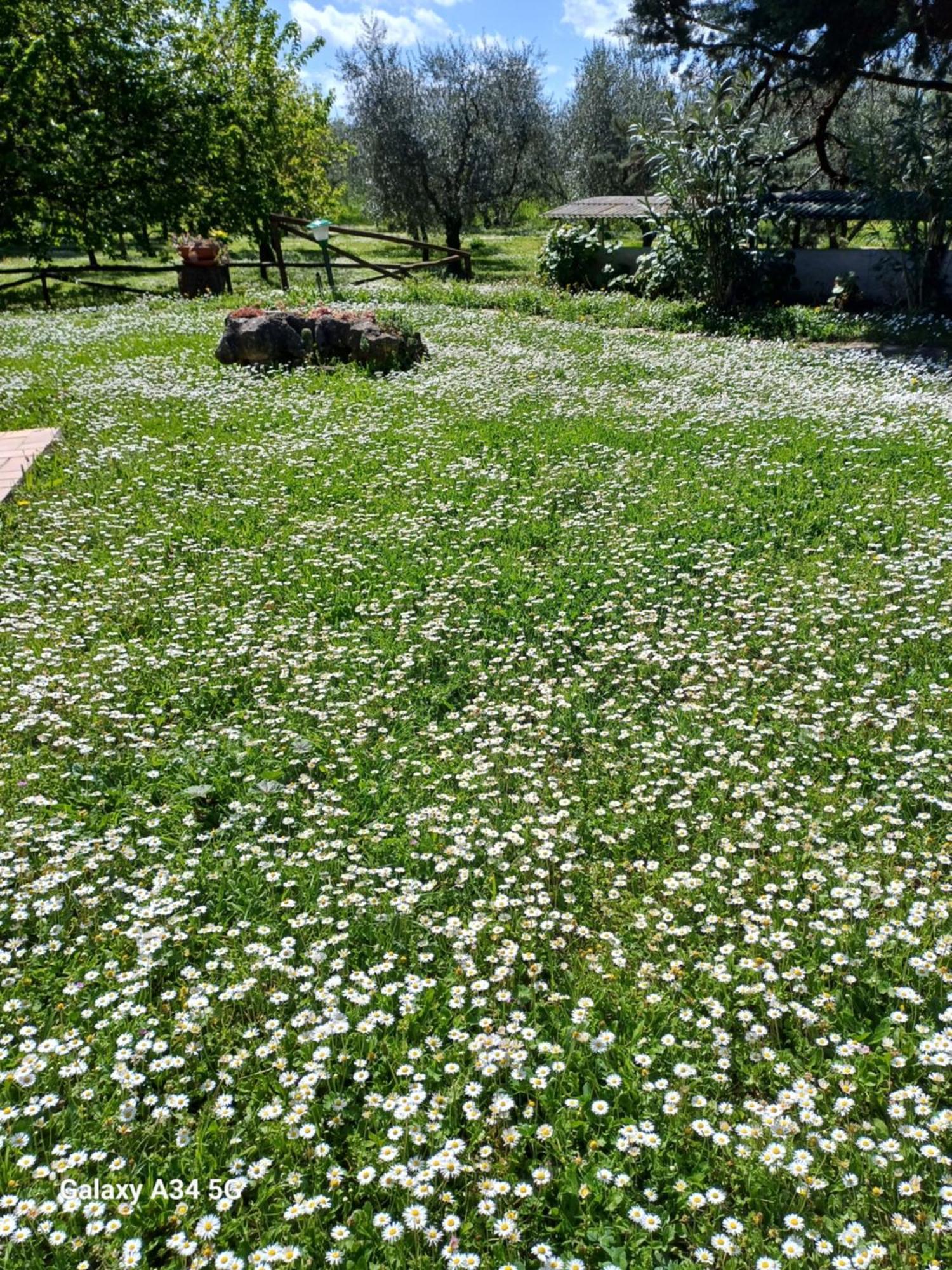 Agriturismo Bio Pian Dei Casali Сатурния Экстерьер фото