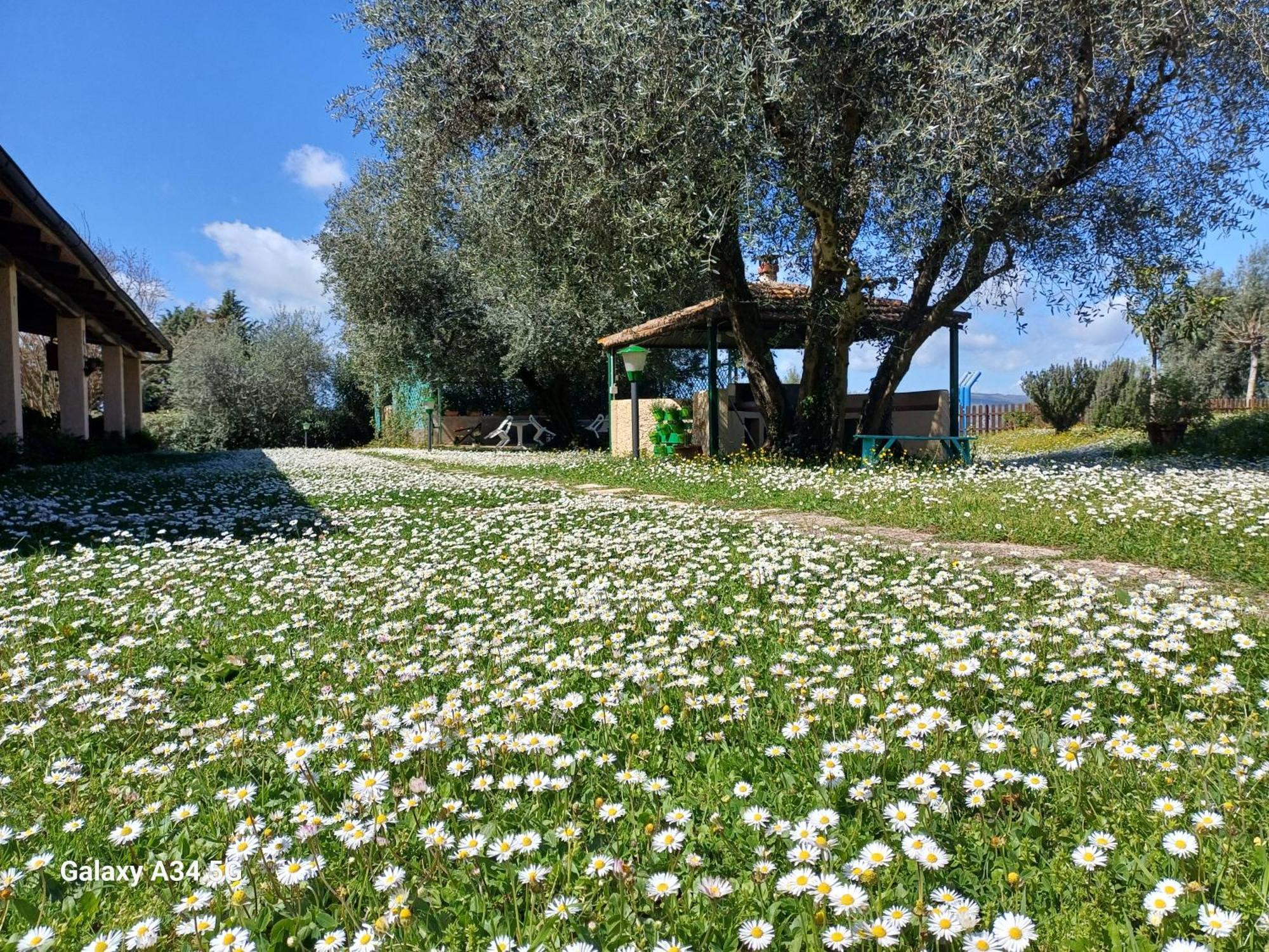 Agriturismo Bio Pian Dei Casali Сатурния Экстерьер фото