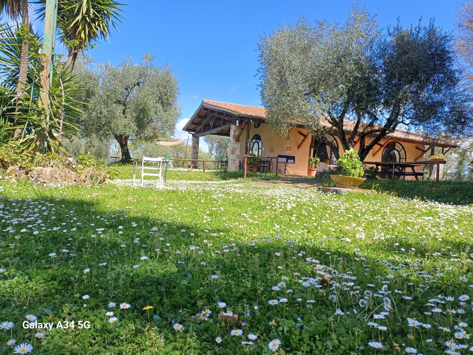 Agriturismo Bio Pian Dei Casali Сатурния Экстерьер фото