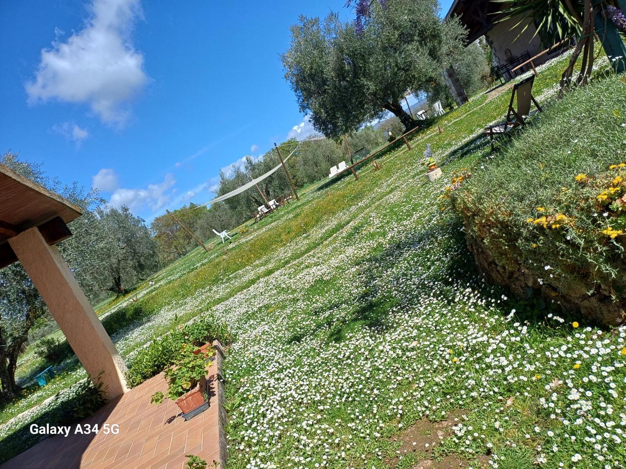 Agriturismo Bio Pian Dei Casali Сатурния Экстерьер фото