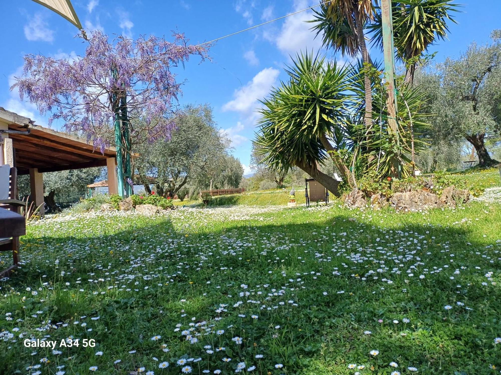 Agriturismo Bio Pian Dei Casali Сатурния Экстерьер фото