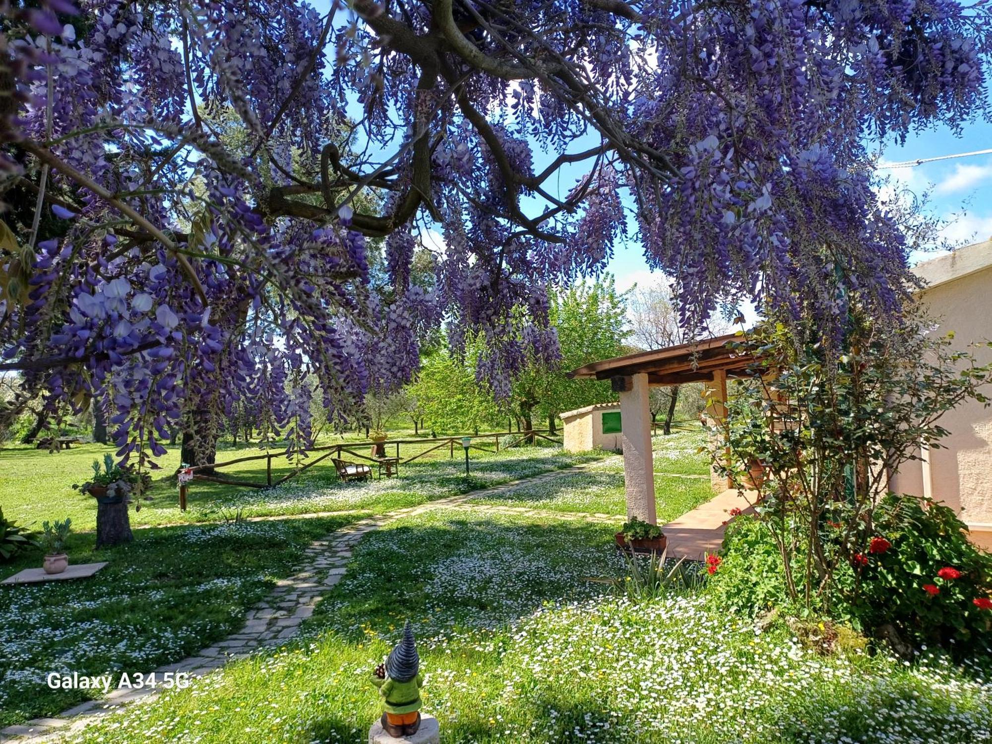 Agriturismo Bio Pian Dei Casali Сатурния Экстерьер фото