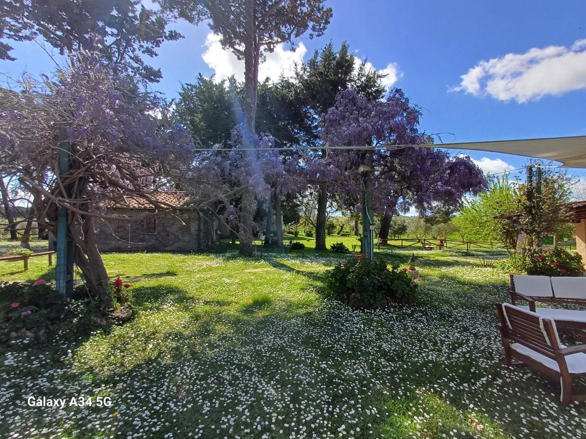 Agriturismo Bio Pian Dei Casali Сатурния Экстерьер фото
